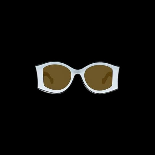 Loewe Paula's Ibiza Sunglasses 'Shiny White'