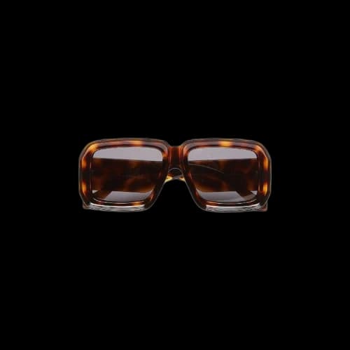 Loewe x Paula's Ibiza Sunglasses 'Brown'