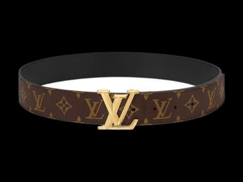 Louis Vuitton Belt LV Pyramide 40mm Brown/Gold
