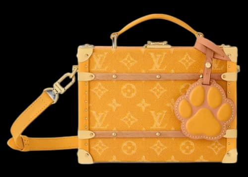 Louis Vuitton Handle Trunk Yellow