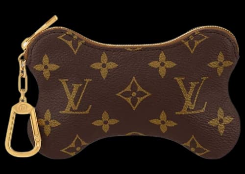 Louis Vuitton Bone Key Pouch Monogram