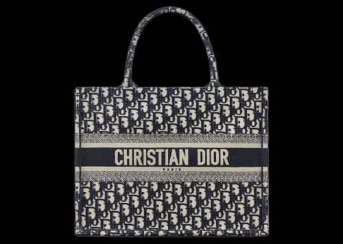Dior Medium Book Tote Blue