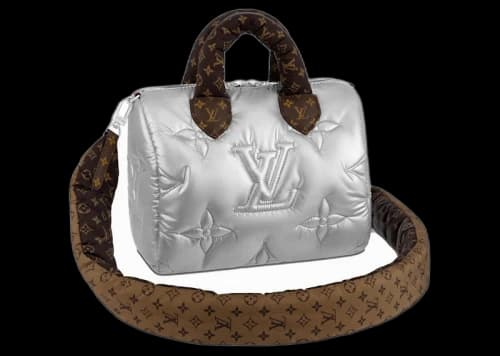 Louis Vuitton Speedy Bandoulière 25 Silver