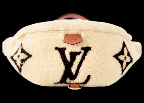 Louis Vuitton LV SKI Bumbag Cream/Brown