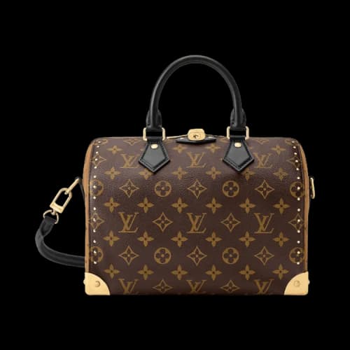 Louis Vuitton Speedy Trunk 25 Monogram