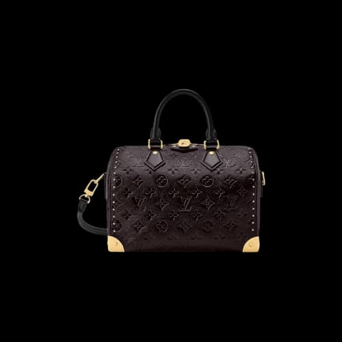 Louis Vuitton Speedy Trunk 25 Acajou