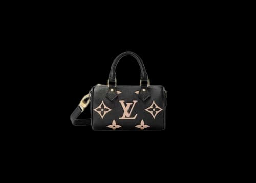 Louis Vuitton Speedy Nano Black/Beige