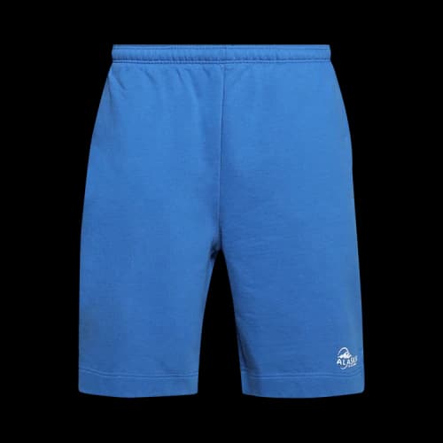 Vetements Alaska Tourist Shorts 'Blue'