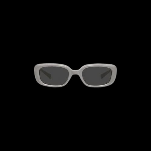 Gentle Monster x Maison Margiela MM106 G10 Sunglasses 'Grey/Beige'
