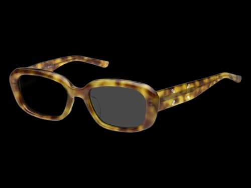 Gentle Monster Maison Margiela Sunglasses Tortoise Gray (MM207 T6)