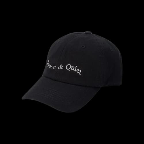 Museum of Peace & Quiet Wordmark Dad Hat 'Black'