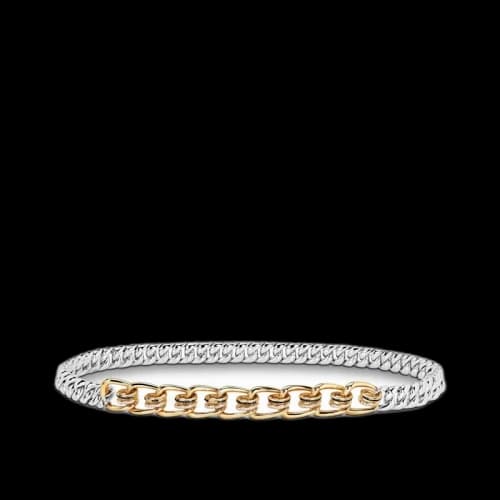 Louis Vuitton Belt Anachronsim Silver/Gold