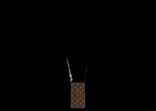 Louis Vuitton Eraser Necklace Silver/Brown