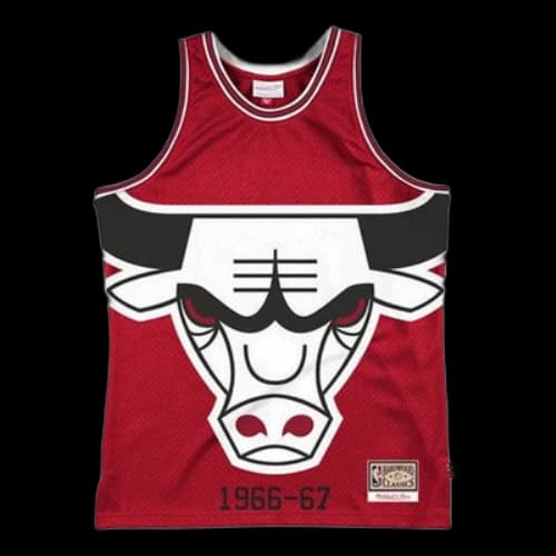 Mitchell & Ness 66-67