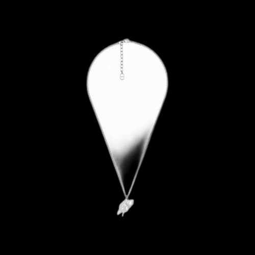 Dior x Cactus Jack Pendant Necklace 'Silver'