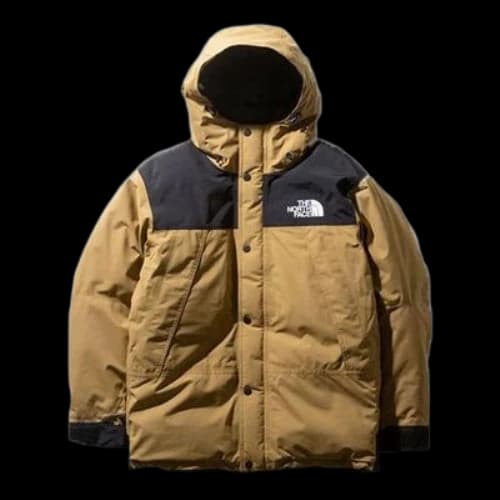 THE NORTH FACE 20FW-I Mountain Down Jacket 'Brown'