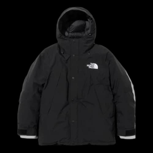 THE NORTH FACE Mountain Down Jacket Logo 'Black'