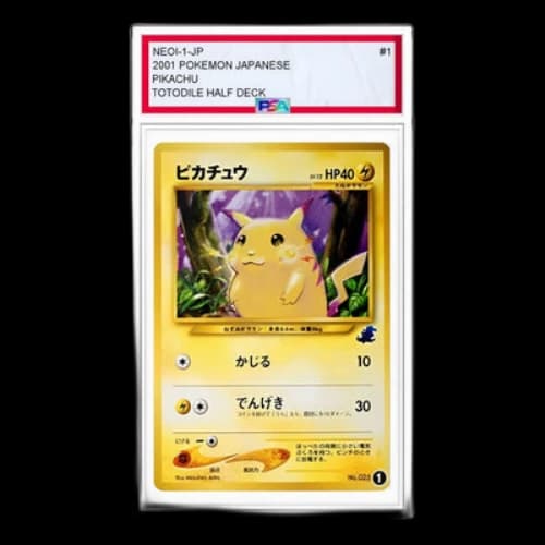 Pokemon Intro Packneo [neoI 1] 'Pikachu: Old Back'