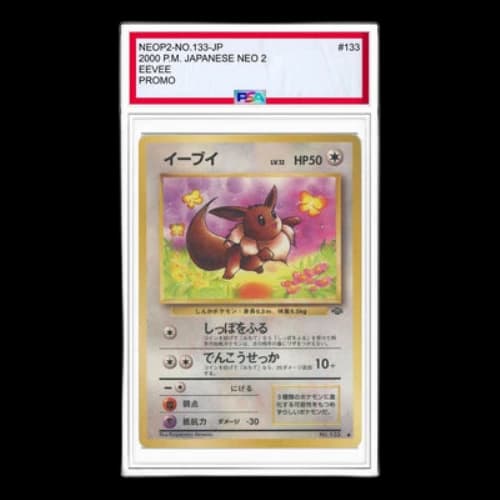 Pokemon Premium File 2 [neoP2 No.133] 'Eevee Premium File 2: Old Back'