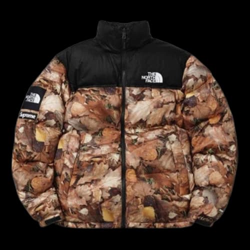 Supreme x The North Face Nuptse 'Leaves'