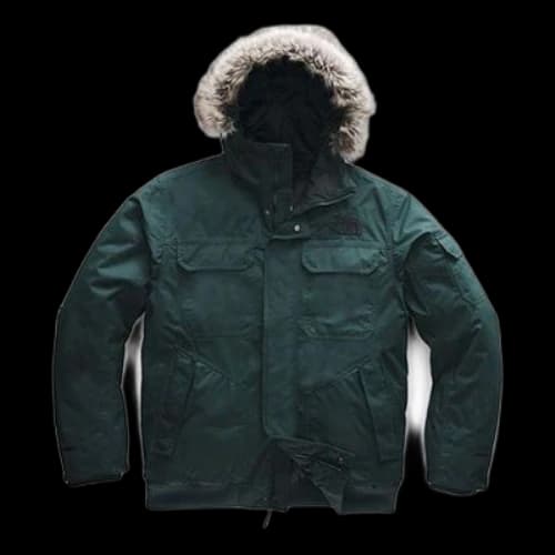 THE NORTH FACE Gotham With Down Feather Hooded Jacket Green