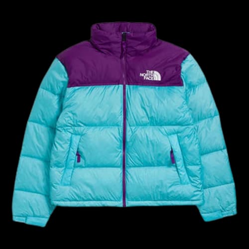 THE NORTH FACE 1996 Retro Nuptse 700
