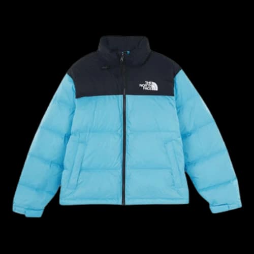 THE NORTH FACE 1996 Retro Nuptse 700