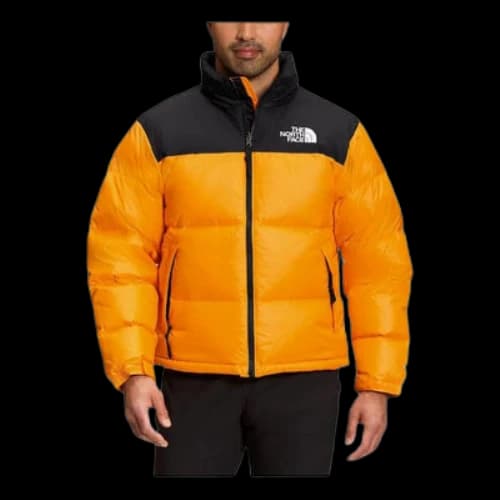 THE NORTH FACE 1996 Nuptse Jacket 700
