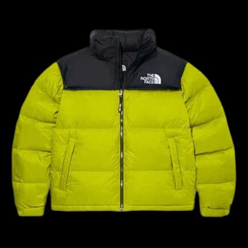 THE NORTH FACE 1996 Nuptse Jacket 700