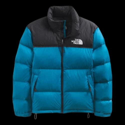 THE NORTH FACE 1996 Retro Nuptse 700