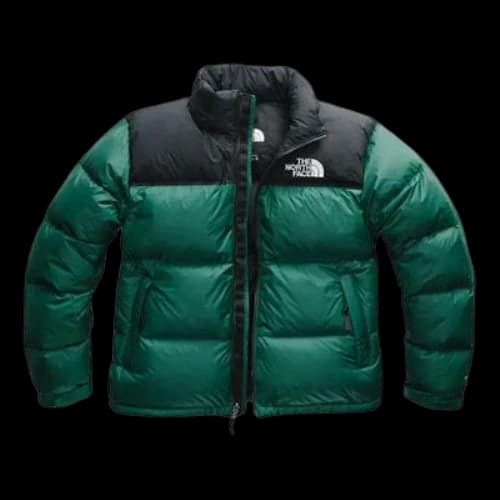 THE NORTH FACE 700 Puffer Jacket 'Green'