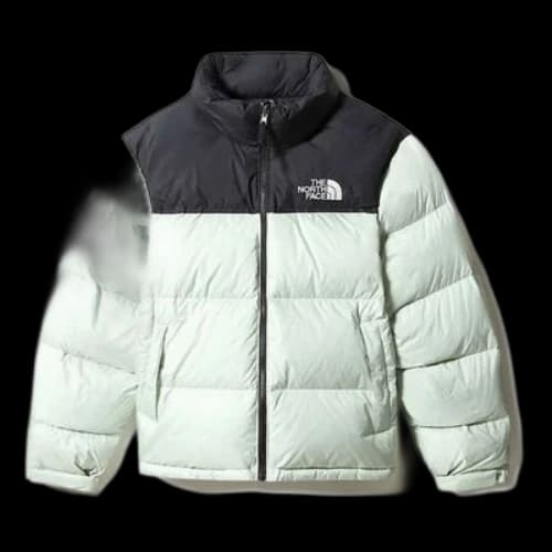 THE NORTH FACE 1996 Retro Nuptse Logo Jacket 'White'