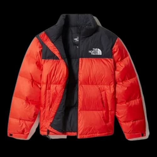 THE NORTH FACE 1996 Retro Nuptse 700