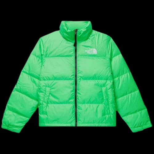 The North Face 1996 Retro Nuptse Jacket 'Chlorophyll Green'