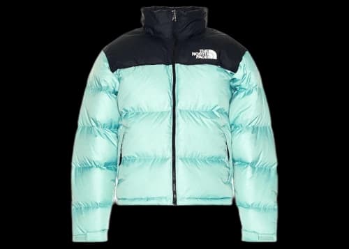 The North Face 1996 Retro Nuptse 700 Fill Packable Jacket Wasabi