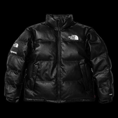 Supreme x The North Face Leather Nuptse Jacket 'Black'