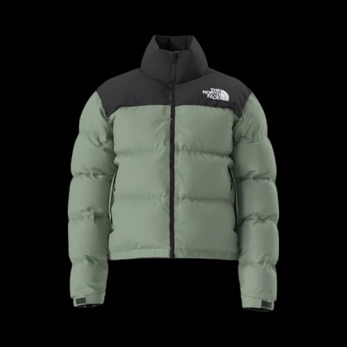 The North Face 1996 Retro Nuptse Jacket 'Light Green'