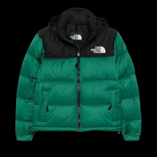 The North Face Women's 1996 Retro Nuptse Jacket Evergreen