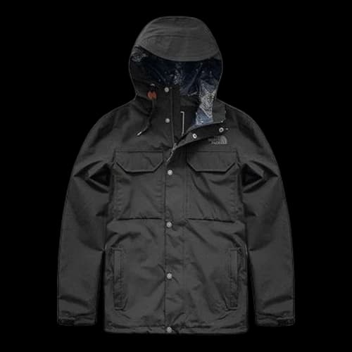 THE NORTH FACE Dryvent Down Puffer Hood Jacket 'Black'