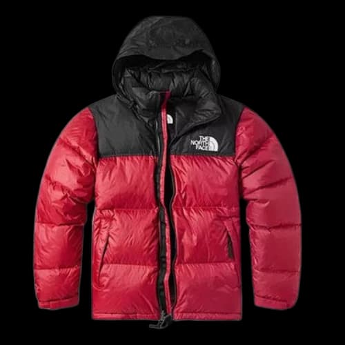 THE NORTH FACE 1996 Nuptse 700