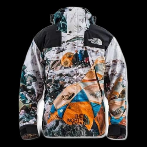 THE NORTH FACE x INVINCIBLE Printed Mountain Jacket