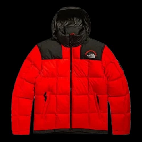 THE NORTH FACE Nuptse Jacket Expedition 700