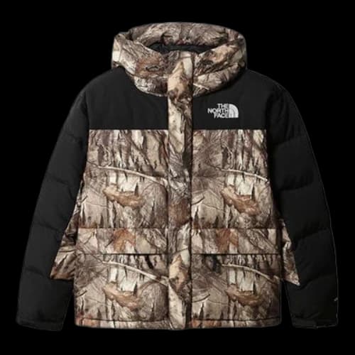 THE NORTH FACE Nuptse Jacket 550