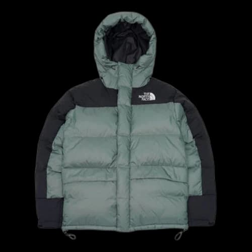 THE NORTH FACE FW21 Himalayan Down Jacket 'Green'