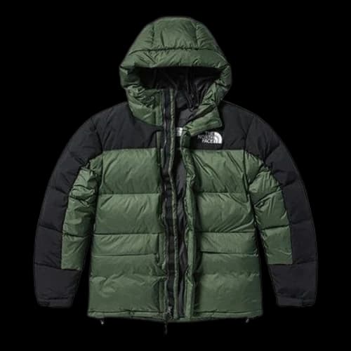 THE NORTH FACE Winter Puffer Jacket 'Olivegreen'