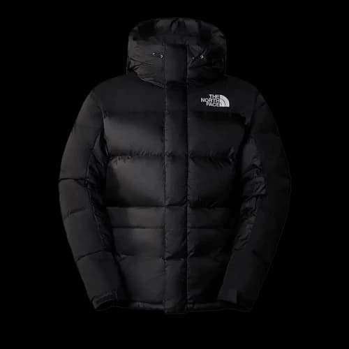 The North Face HMLYN Down Parka 'TNF Black'