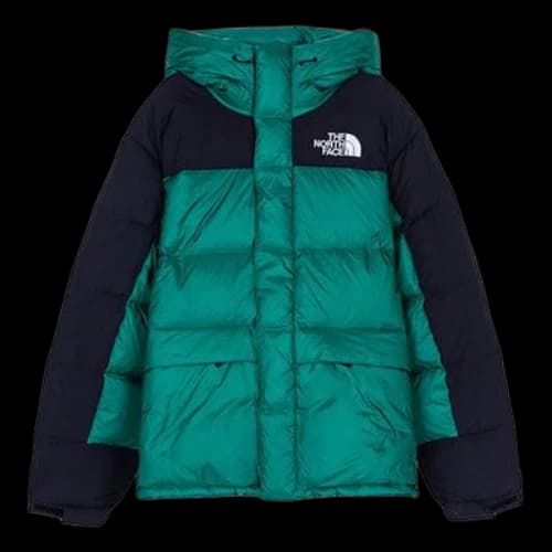 THE NORTH FACE Nuptse DOWN PARKA ENERGY