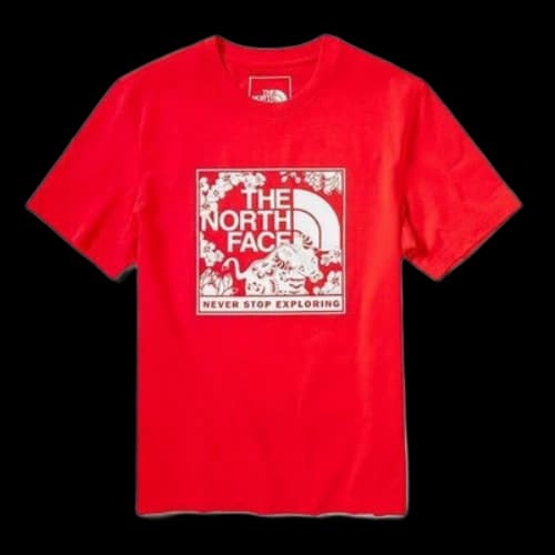 THE NORTH FACE Red Box Celebration T-Shirt 'Red'