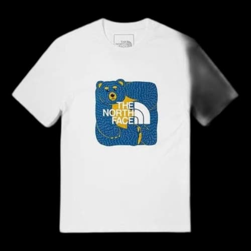 THE NORTH FACE Graphic T-Shirt 'White'