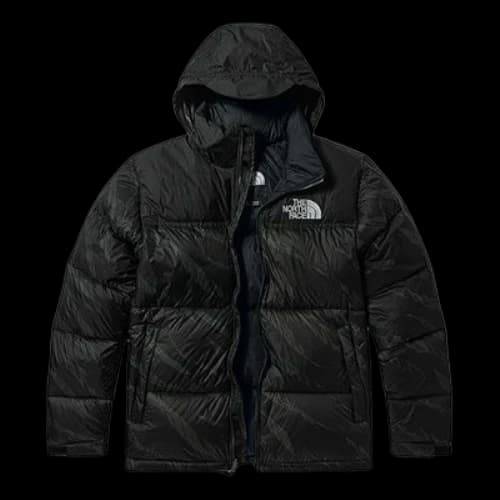THE NORTH FACE Down Parka Jacket 'Black'